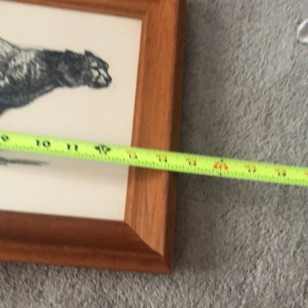 Vintage Art Etchings Drawing Cheetah Framed D.‎  Schwartz